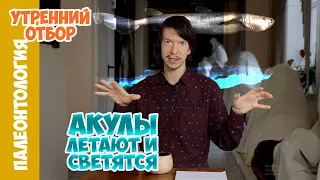 Акулы учатся летать. Ярослав Попов