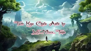 tum kyu chale aate ho lofi mix song