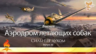 Аэродром летающих собак. Сильные духом. Выпуск 36