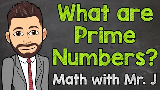 What are Prime Numbers? | Math with Mr. J