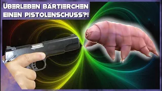 Sind Bärtierchen wirklich unsterblich? (Test mit Pistole)