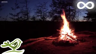 Relaxing Music & Campfire • Relaxing Guitar Music, Soothing Music, Calm Music