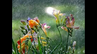 Дожди под музыку маэстра rain waltz beauty of nature