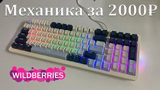 БЮДЖЕТНАЯ МЕХАНИЧЕСКАЯ КЛАВИАТУРА ЗА 2000₽ С WILDBERRIES!!!