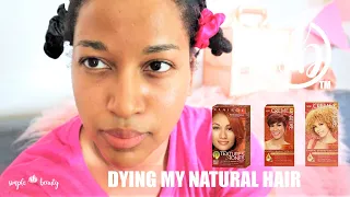 Ginger Blonde and Copper Hair Dye| Crème of Nature and Clairol