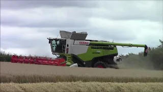3 Claas 780 combines cutting winter barley 2020