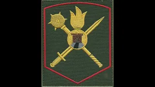 49 общевойсковая армия ЮВО Ставрополь шеврон в/ч 35181