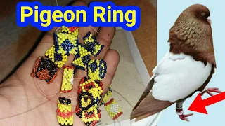 Pigeon ring || Kabootar ring