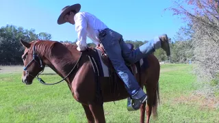 A Good Method For Mounting Your Horse