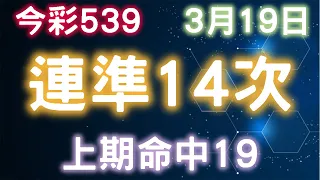 今彩539｜連準14次｜3月19日｜少年狼539｜上期命中19