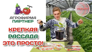 Как избежать ошибок при выращивании рассады | Крепкая рассада это просто! #огород #рассада #семена