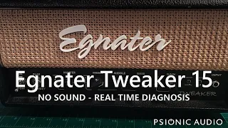 Egnater Tweaker 15 | No Sound - Real Time Diagnosis