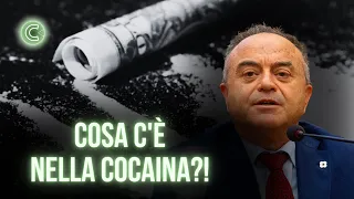 La COCAINA: Storia e Processi - Nicola Gratteri