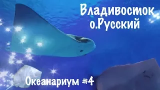 Океанариум #4. 3 и 1 этажи.Тропический лес.Очень крутой аквариум со скатами.