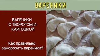 Готовим вареники. Как правильно замораживать вареники?