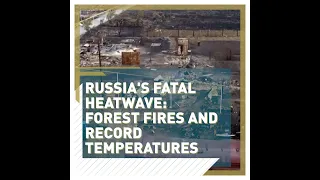 Russia sweats in heatwave as forest fires rage in Chelyabinsk