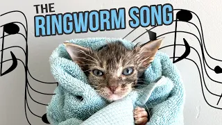 The Ringworm Song for Kittens