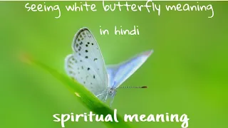 white butterfly meaning in hindi #whitebutterfly #butterflymeaning #spirituality#viral @Sky wing 222