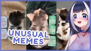 Shylily Reacts to UNUSUAL MEMES COMPILATION V209