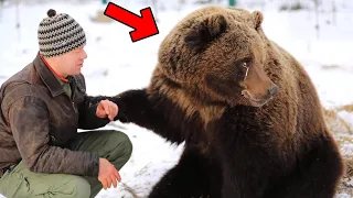 Crying Bear Begged Man for Help. You Won't Believe What Happened Next