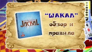 Обзор настольной игры "Шакал"