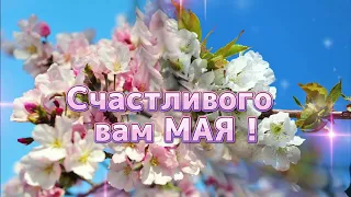 Цветущий МАЙ ! Счастливого вам Мая !🌷