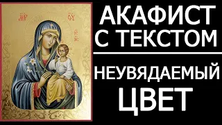 Акафист Богородице Неувядаемый Цвет