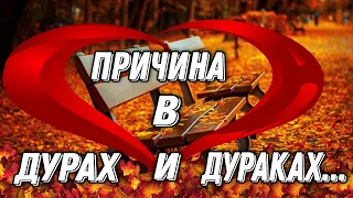 ПРЕКРАСНОЕ, ЖИЗНЕННОЕ, ДУШЕВНОЕ СТИХОТВОРЕНИЕ "ПРИЧИНА В ДУРАХ И ДУРАКАХ" ИРИНА САМАРИНА - ЛАБИРИНТ