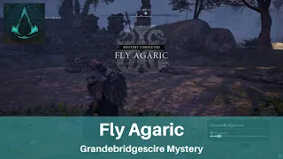 AC Valhalla FLY AGARIC | Mystery Completed | Light The Correct Braziers | Grandebridgescire Mystery
