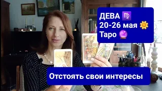 ДЕВА♍ 20-26 мая🌼Отстоять свои итересы❎️✌️ #тароонлайн #правдивоегадание