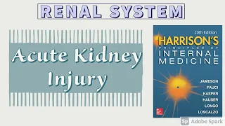 Acute Kidney Injury | Part 1 of 2 | Etiology | Pathogenesis | Harrison