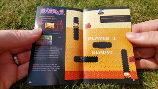 Sneek Peak inside 'Namco Museum Collection 1' manual for Evercade