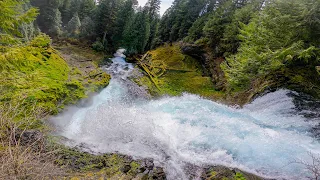 "One of the STOUTEST things I have ever done." | Sahalie Back Freewheel