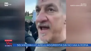 Selvaggia Lucarelli  aggredita dai No Vax a Roma - La vita in diretta 22/11/2021