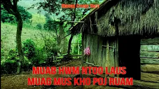 Muab hwm ntoo laus muag mus kho poj ruam 9/10/2023