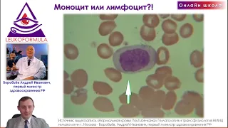 Особенности морфологии клеток моноцитарного ряда. Занятие №1 Апрель, 2023.  Трейлер