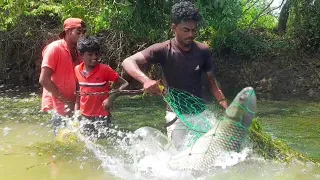 Wow!!! Amazing Big Fishing !!! Sri Lanka Fishing Catching Video !!! Fish Hunting