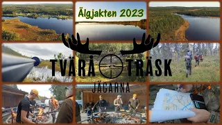 Älgjakten 2023 - avsnitt 1 - Plötsligt händer det