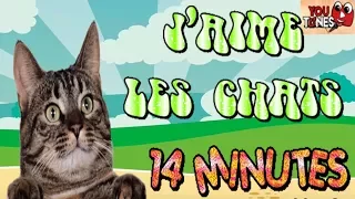 (14MN) YOUTUNES - J'AIME LES CHATS