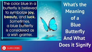 What’s the Meaning of a Blue Butterfly And What Does it Signify