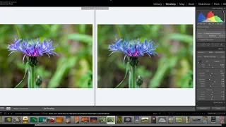 Softproofing in Lightroom Classic by Julieanne Kost I Episode 4