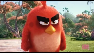 Brazil - Screen Test : Eperdument, L'étage du dessous, Angry Bird