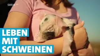 Mit Schwein in ein neues Leben