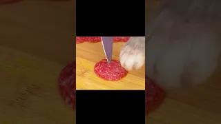 Cat makes eggs