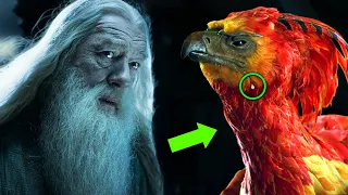Why Didn't Fawkes' Tears Heal Dumbledore's Hand? - Harry Potter Explained
