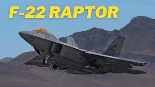 Uncovering the Secrets of the F-22 Raptor