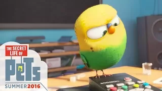 Meet Sweet Pea  The Secret Life of Pets Teaser HD Animation