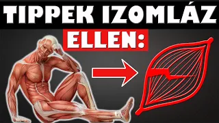 TIPPEK IZOMLÁZ ELLEN - Tedd EZT, a GYORSABB IZOMÉPÍTÉS, REGENERÁLÓDÁS érdekében: