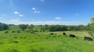 Context And How It Relates To Small Grazing Operations