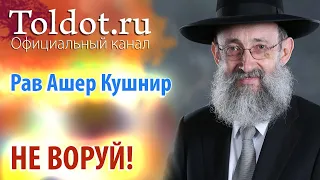 Рав Ашер Кушнир. Не воруй! Месилат Йешарим 53